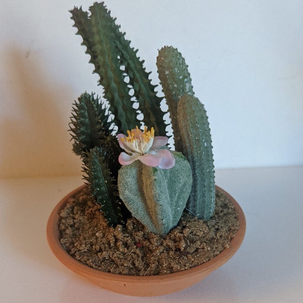 NEW Ashland Faux Multi Cactus Plant Floral Succulent Michael's Desert Summer NWT